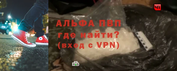 шишки Новодвинск