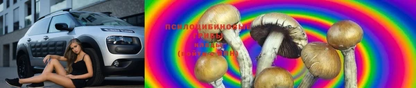 твердый Алексин