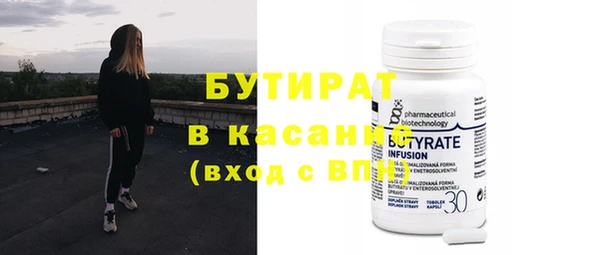 шишки Новодвинск