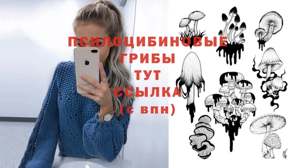 a pvp Алексеевка