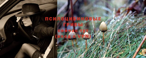 твердый Алексин