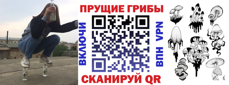 Псилоцибиновые грибы MAGIC MUSHROOMS  где можно купить наркотик  Чусовой 